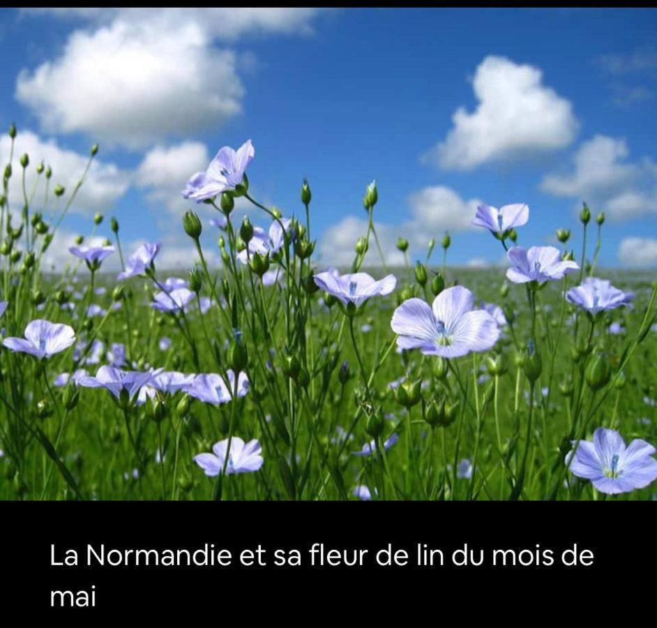 Appartement Veules Roses , La Cressonniere: « Veules & Victor «  Buitenkant foto